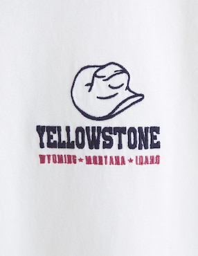 Playera Abercrombie & Fitch cuello redondo para hombre