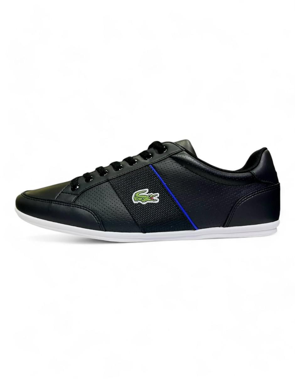 lacost tenis
